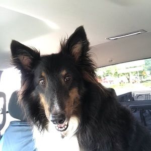 Meet your Posher, Jodean